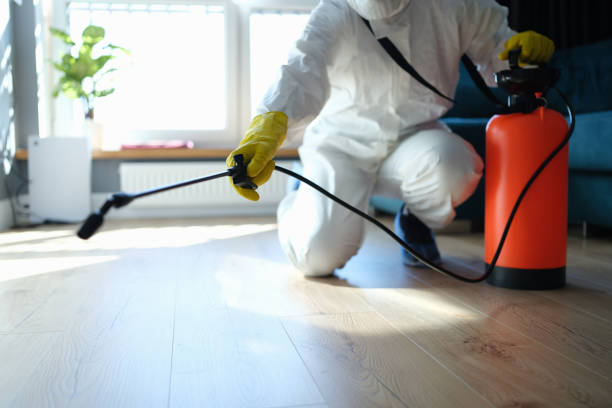Reliable Odor Removal contractor in Amanda Park, WA by Trauma Clean Pros